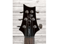 PRS SE Custom 24 BG PRS SE Custom 24 BG
